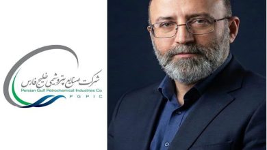 امیرحسین پهلوان مدیرعامل پتروشیمی لردگان شد؛ نگاهی به سوابق و ماموریت جدید